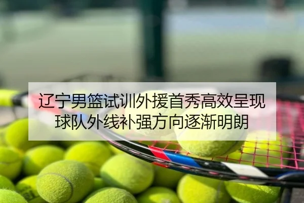 辽宁男篮试训外援首秀高效呈现 球队外线补强方向逐渐明朗