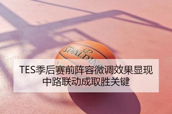 TES季后赛前阵容微调效果显现中路联动成取胜关键