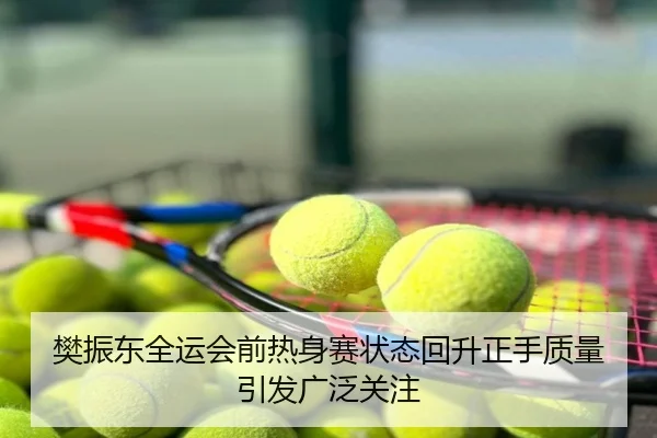 樊振东全运会前热身赛状态回升正手质量引发广泛关注