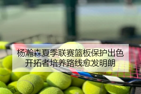 杨瀚森夏季联赛篮板保护出色 开拓者培养路线愈发明朗